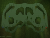 Jungul