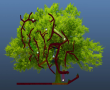 ctf_JF_Tree